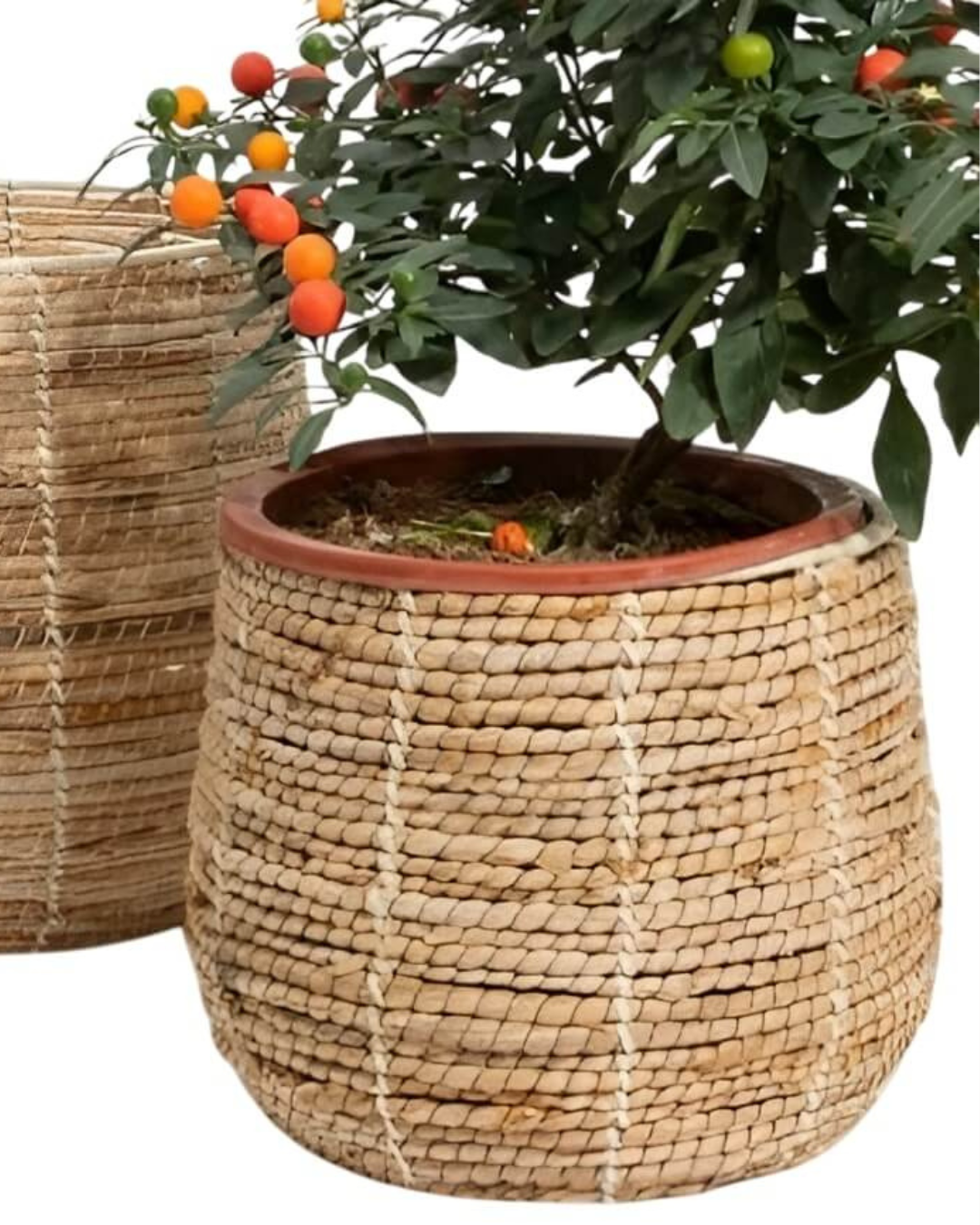 Artisan Σετ Διακοσμητικών Καλαθιών 2τμχ από Φυσικά Υλικά Φ30/ Φ33 εκ. Φυσικό - Image 3