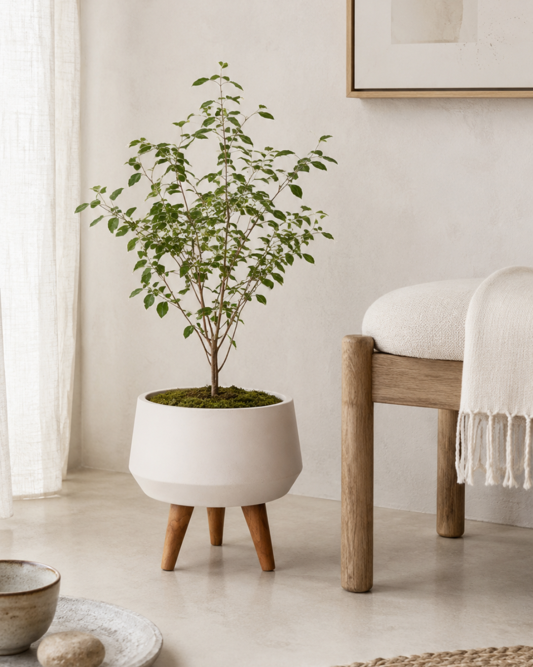 Japandi Γλάστρα / Κασπώ από Fiber Cement & Ξύλο Teak Φ37x36 εκ. Λευκό/Φυσικό - Image 2